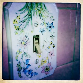 Grass can go from the sky Grass can go from the sky