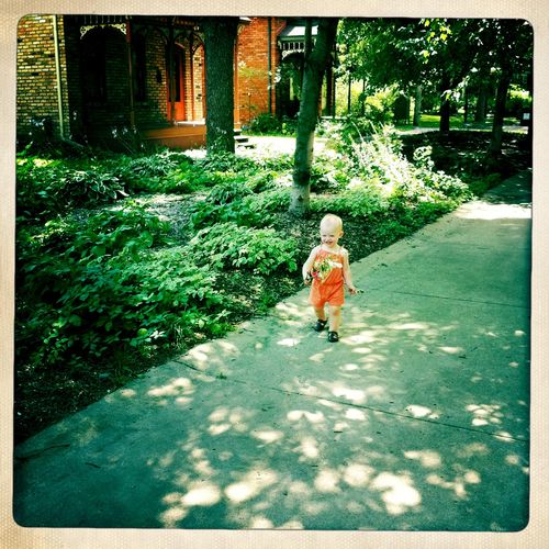 Mae and the hosta forest