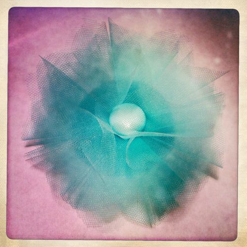 It's so fluffy! It's so fluffy!