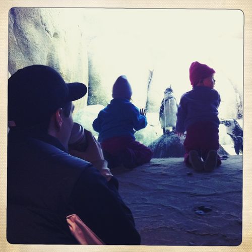 Minnesota Zoo penguin exhibit Minnesota Zoo penguin exhibit