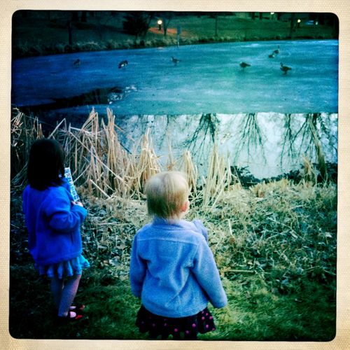 Gramma Cass's pond Gramma Cass's pond