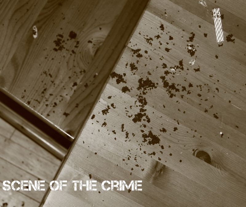 scene of the crime scene of the crime