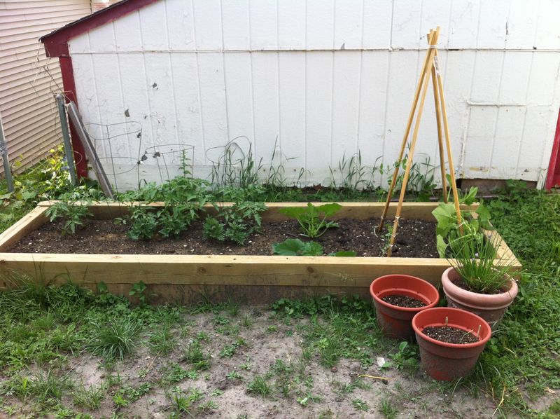 my darling garden my darling garden