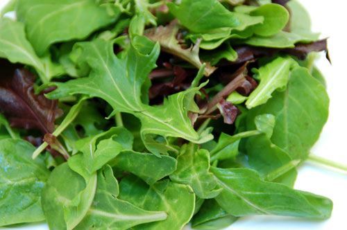 Fresh-Green-Salad