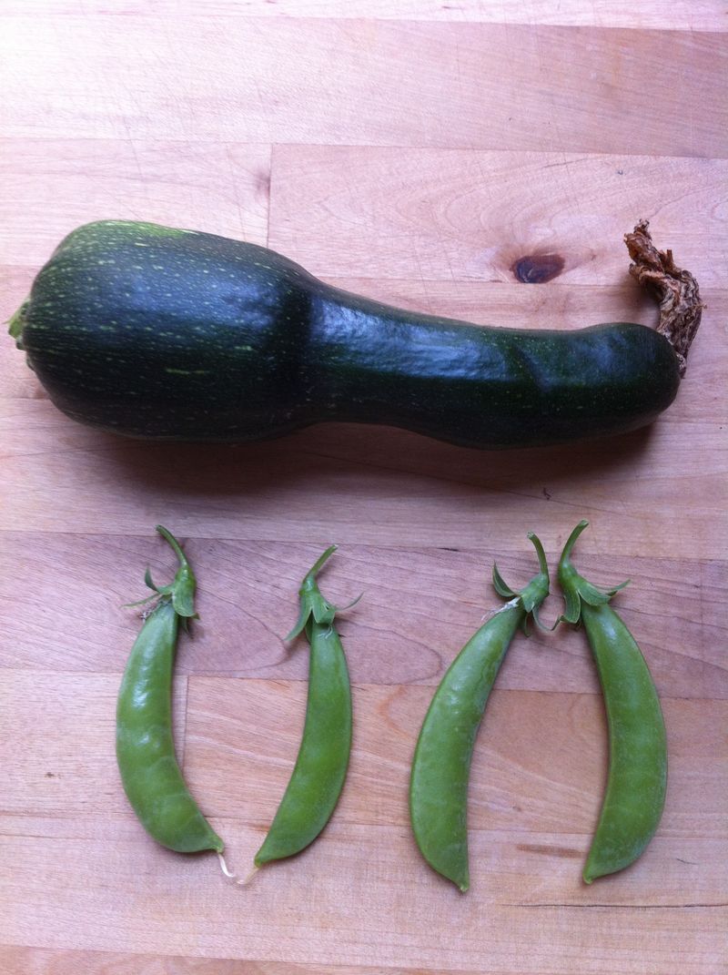 backyard garden harvest backyard garden harvest