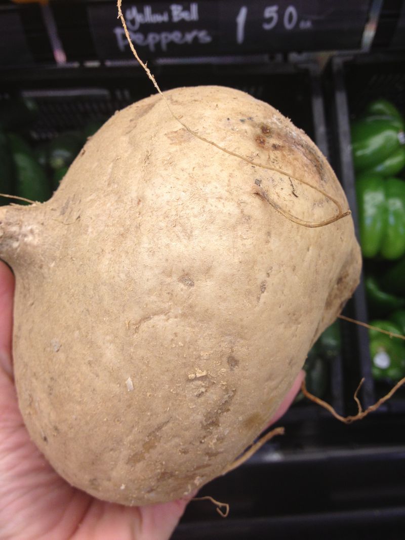 jicama