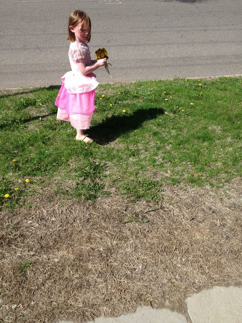 0e014fdd8779668b501c8a9dd2e4234c