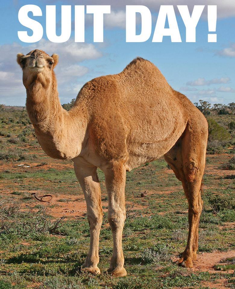 1621840_876931382332919_1489403972_n 1621840_876931382332919_1489403972_n