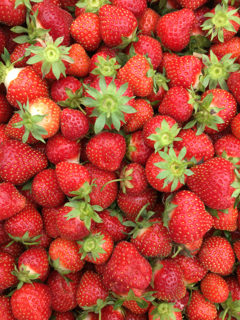 strawberryfieldsforsomething